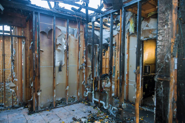 Professional Structural Rebuild technician working in Porters Neck, NC